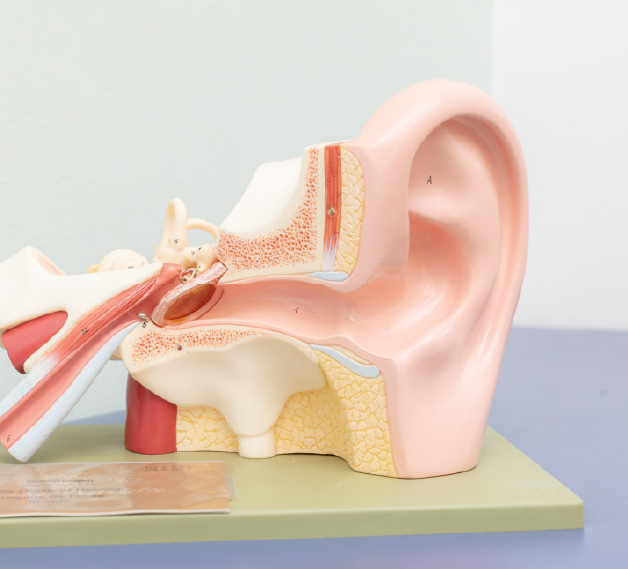 タイトルテキストタイトル