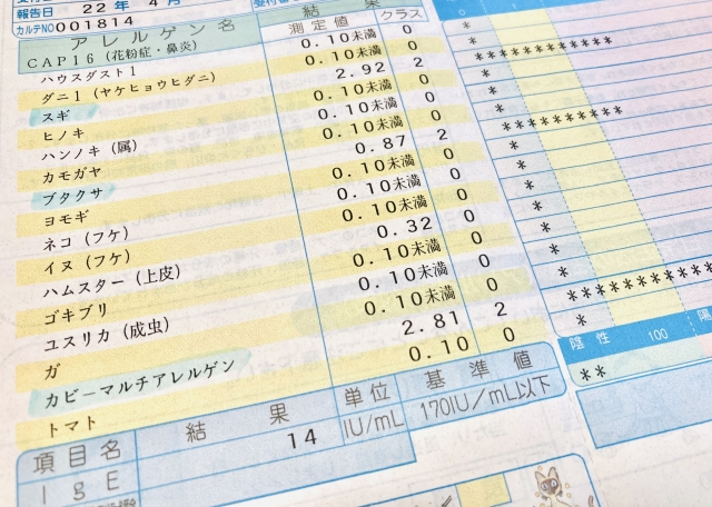 アレルギー検査について